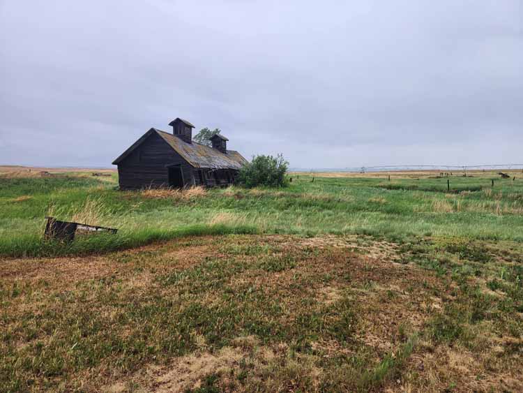 Alberta countryside